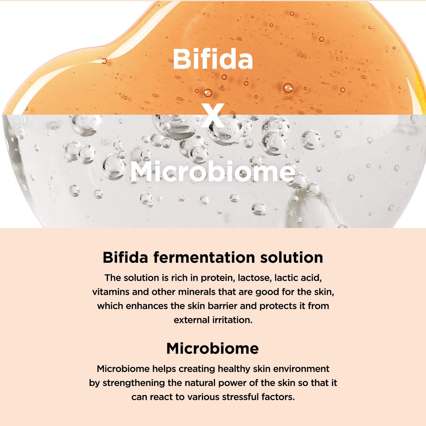 Bifida Biome Concentrate Cream Facial Moisturizing Cream with Hyaluronic Acid, Ceramide, for Women Skin Care, Natural Korean Skin Care 1.69 Fl Oz (50Ml)