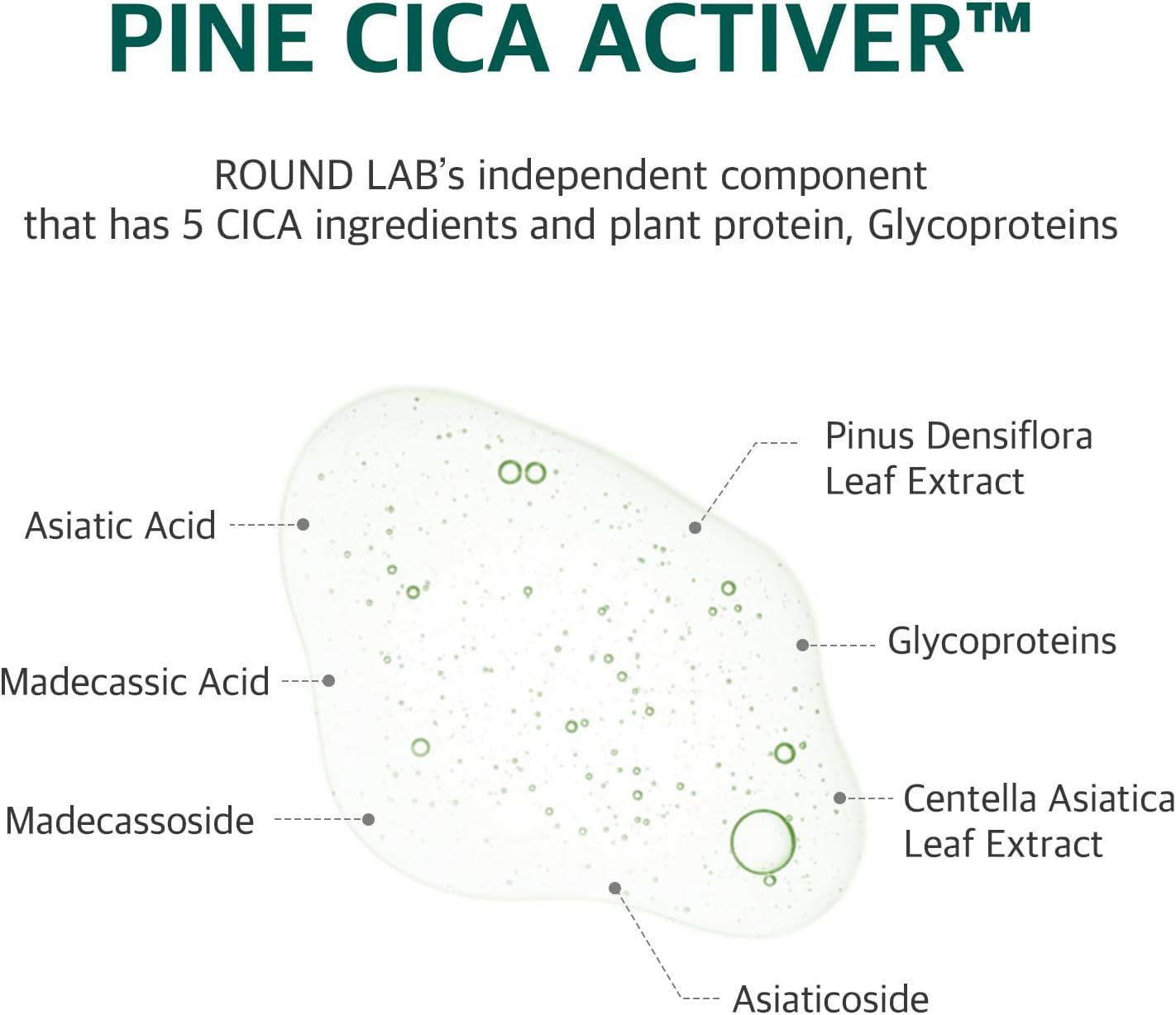 Pine Calming Cica Pad 50Pcs, 7Cm Wide Cooling and Soothing Toner Pads with Pine Cica, BHA + LHA, and Hyaluronic Acid for Heated, Acne-Prone Skin, Multi-Zone Hydration, Korean Skincare