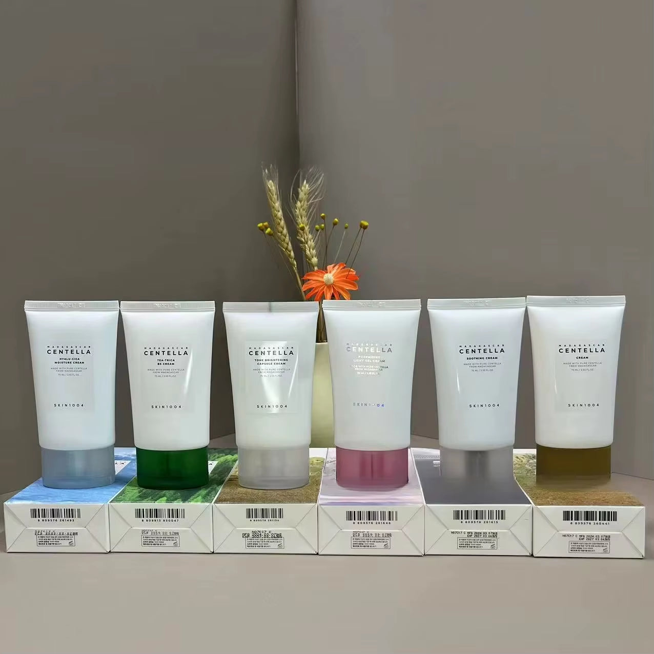 SKIN1004 Six Color Centella Ashesia Series Cream Moisturizing Lightweight Moisturizing 75Ml Firming Skin Tightening Cream