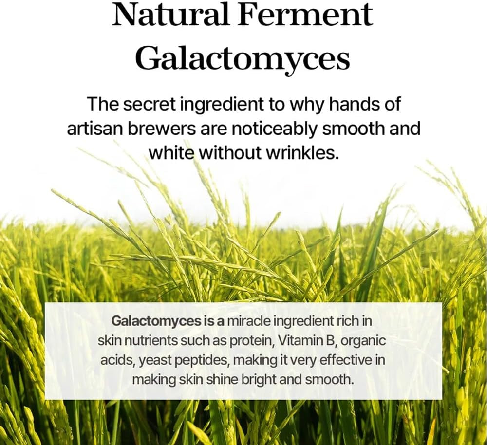 Galactomyces Ferment Essence - Deep Moisture, Tone Clarifying Essence to Smooth Skin for Dull, Uneven Skin - Korean Skincare for Glass Skin - Vegan (3.38 Fl.Oz / 100Ml)