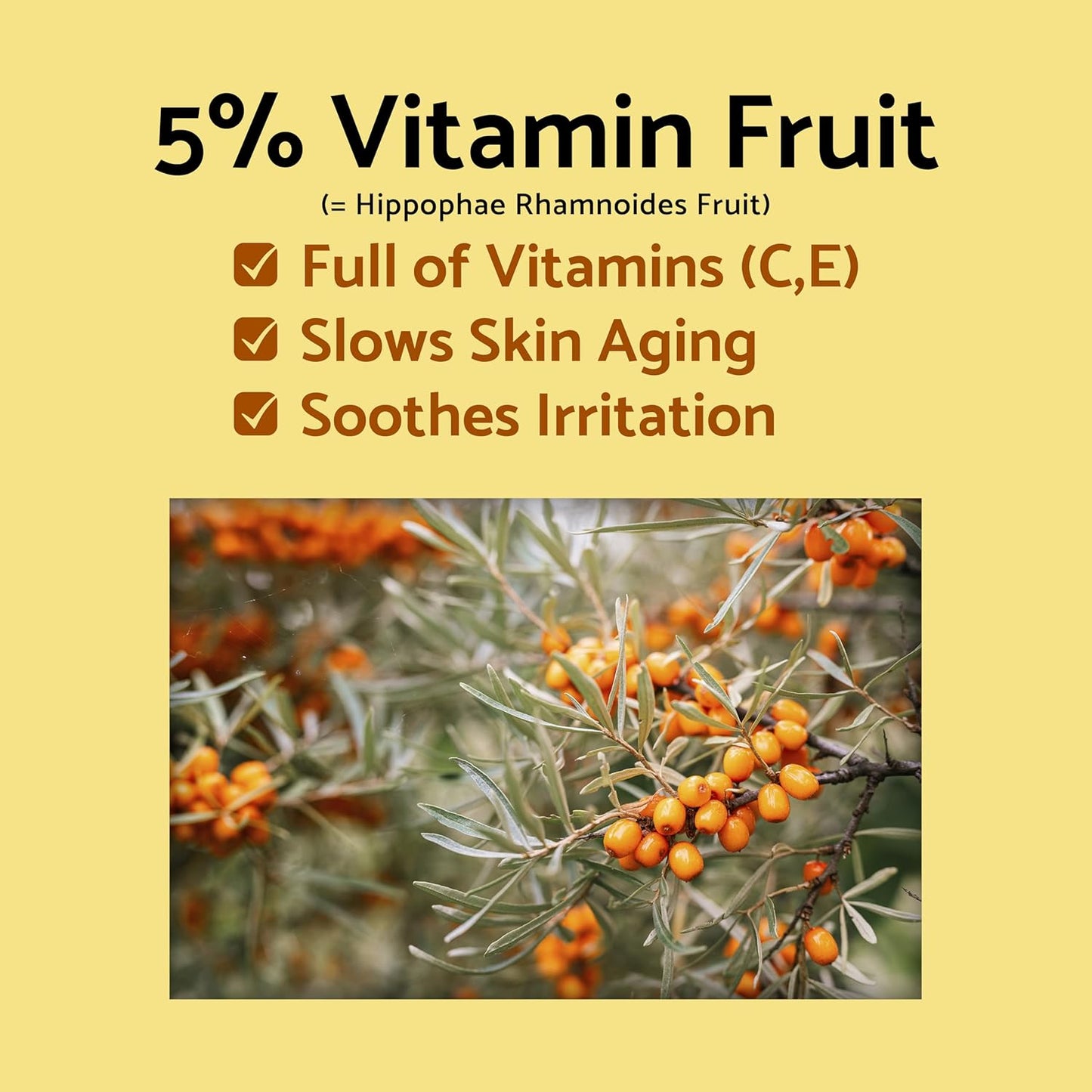 Vitamin C Vegan Face Toner with 45% Hyaluronic Acid Facial Moisturizer 6.7 Fl Oz - Nourishing Hydrating Sensitive Vitalizing Sensitive Dry Skin Deep Nourishing