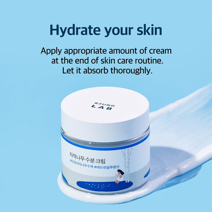 Birch Juice Moisturizing Cream 2.7 Fl Oz, 48-Hour Deep Hydrating Face Moisturizer with Birch Sap & Vita Hyaluronic Acid for Acne-Prone Skin, Reduces Sebum, Oil, Blackheads, Korean Skin Care