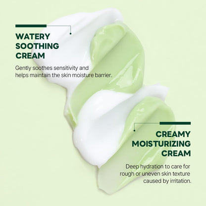 Pine Cica Calming Cream plus 60Ml – Dual-Texture Soothing Cream for Blemish Care, Acne-Prone Skin Safe, Sebum & Oil Control, Intensive Calming, Strengthens Skin Barrier, Clear & Calm Finish
