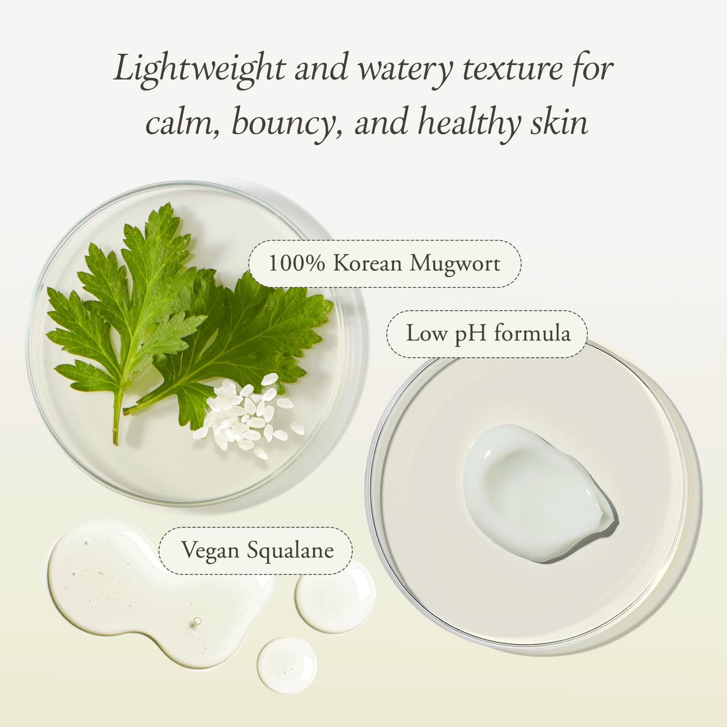 Artemisia Squalane Hydra Gel Cream | Dry, Sensitive, Acne-Prone Skin | Vegan, Cruelty Free, Low Ph, Soothing & Firming up | 50 Ml | No Sulfates and Artificial Fragrance