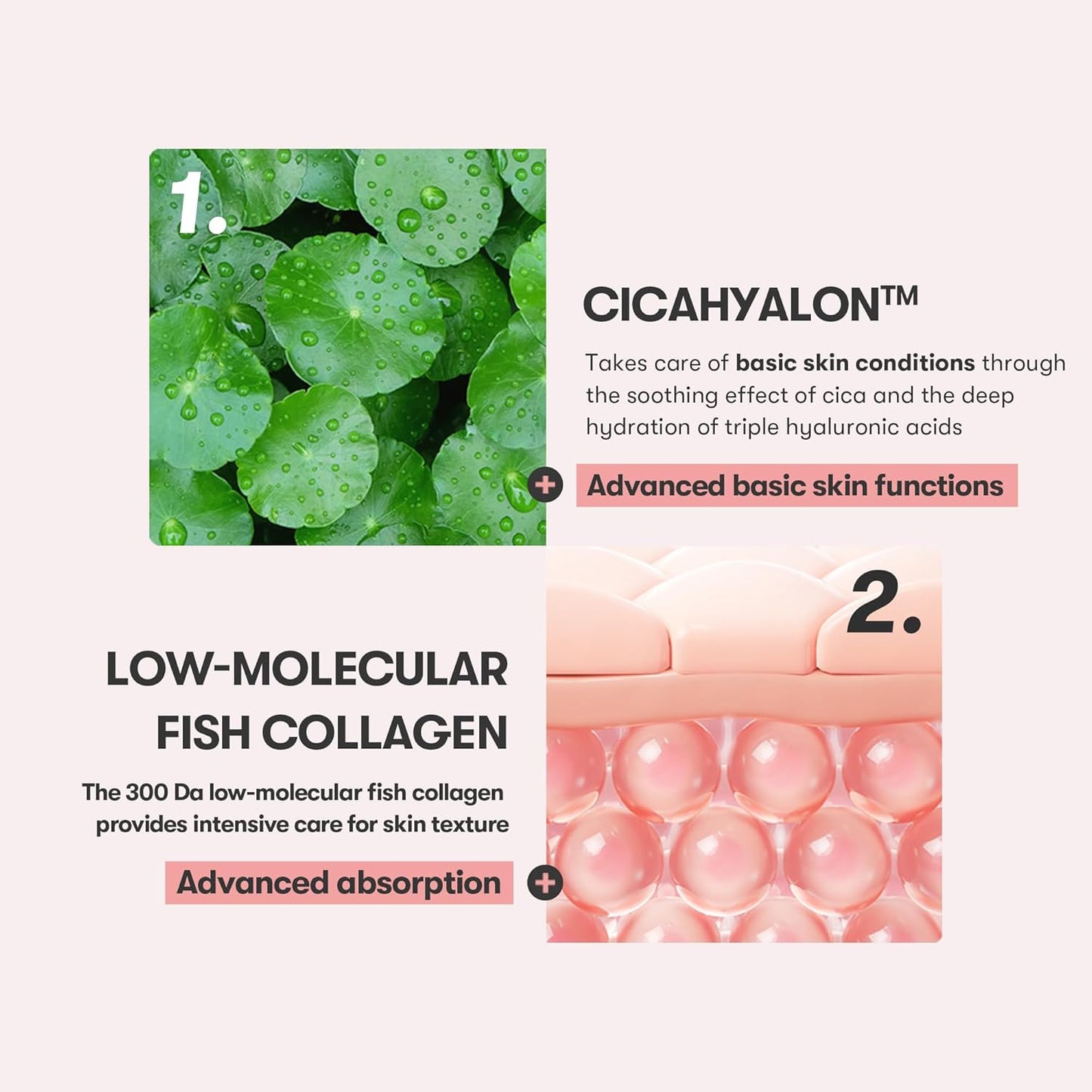 Cica Collagen Essence, 300Da Collagen Extract & Peptide Complex for Firming, Plumping, and Improving Skin Elasticity. Korean Skincare, Pink Collagen Serum