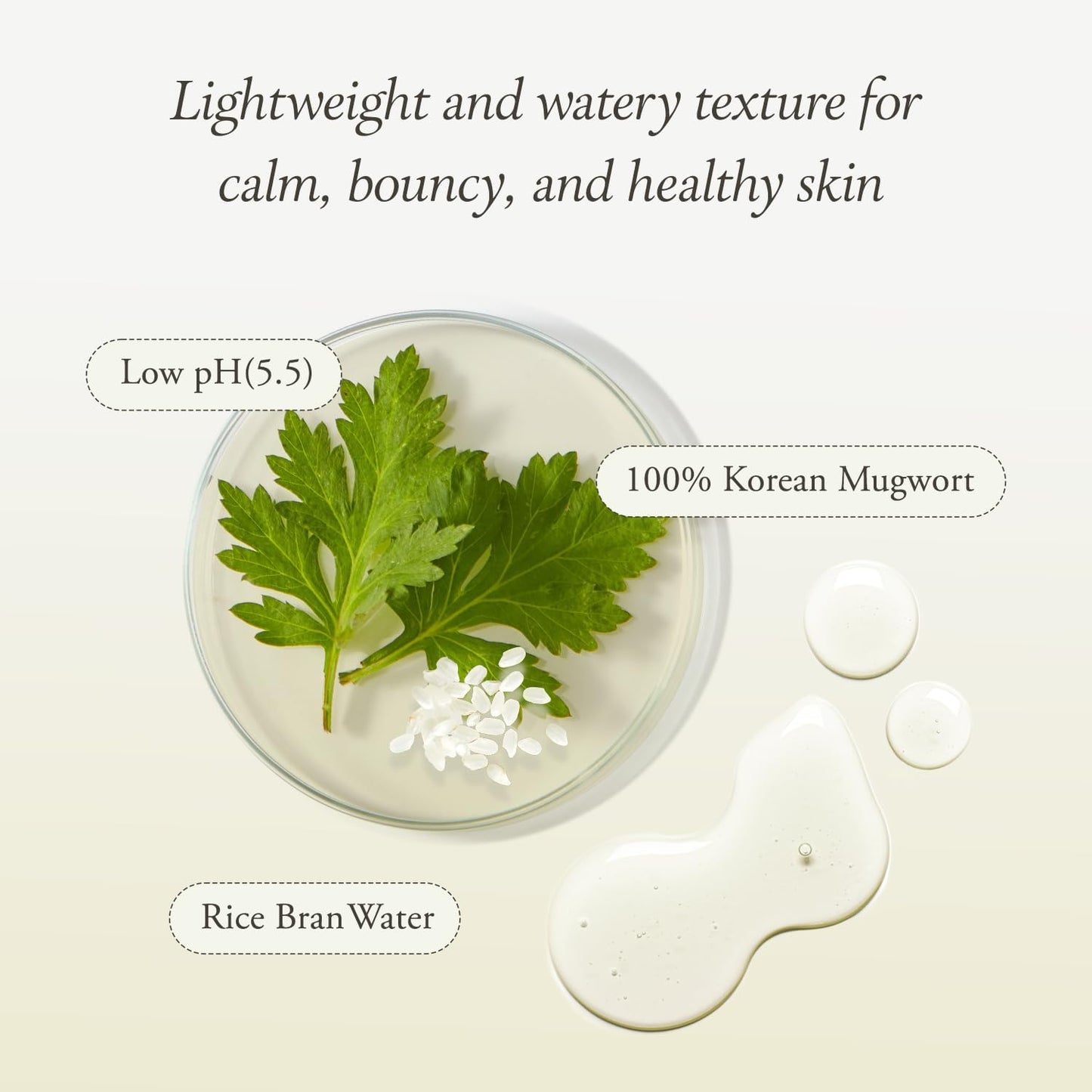Artemisia Korean Rice Toner | 100% Korean Mugwort | Hydration Boost Facial Toner | Vegan, Cruelty Free, Low Ph, | No Sulfates and Artificial Fragrance | Korean Skin Care | 6.76 Oz