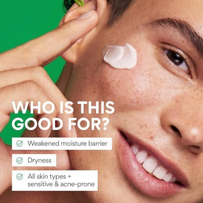 Green Tea Seed Hyaluronic Acid Cream with Barrier Boosting Complex & Ceramide, Hydrating Korean Face Moisturizer and Balancing Cream