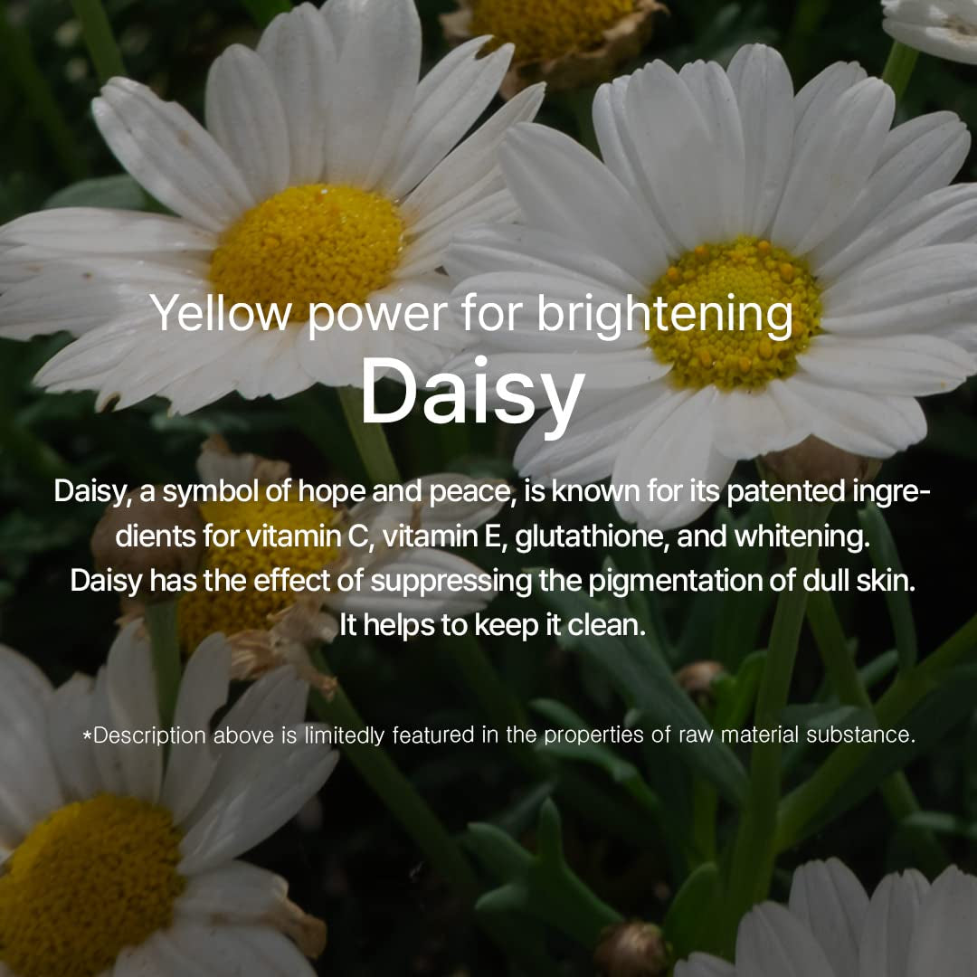 Daisy Essence 3.38 Fl Oz / 100Ml Revitalizing Glow Skin for Skin Lightweight Korean Glass Skin Care