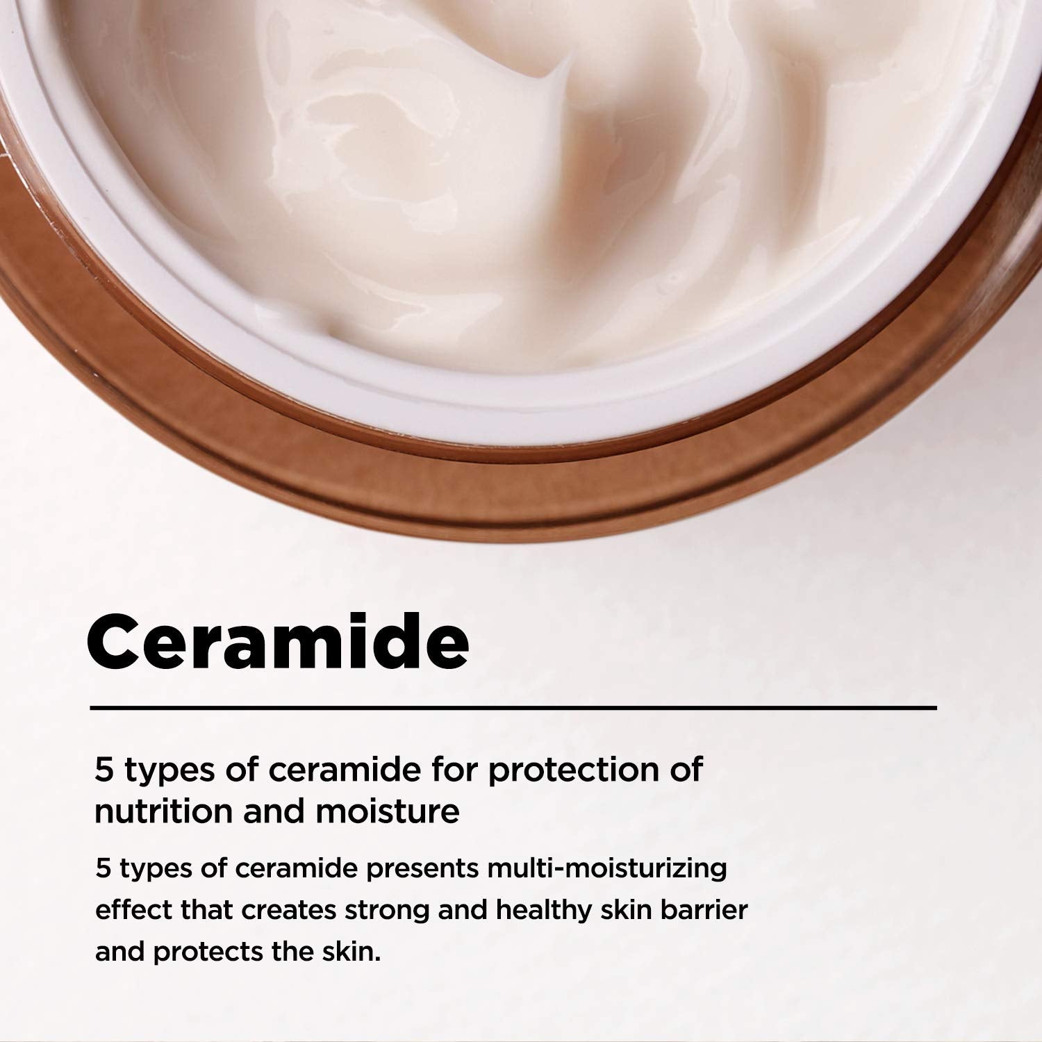 Bifida Biome Concentrate Cream Facial Moisturizing Cream with Hyaluronic Acid, Ceramide, for Women Skin Care, Natural Korean Skin Care 1.69 Fl Oz (50Ml)