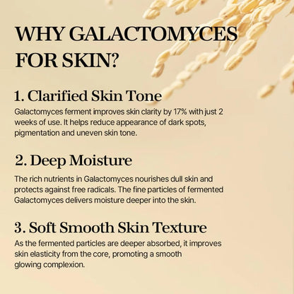 Galactomyces Ferment Essence - Deep Moisture, Tone Clarifying Essence to Smooth Skin for Dull, Uneven Skin - Korean Skincare for Glass Skin - Vegan (3.38 Fl.Oz / 100Ml)