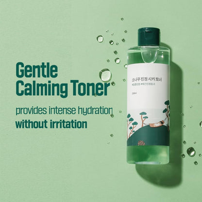 Pine Calming CICA Toner 8.45 Fl Oz, Low-Acidic Hydrating Toner for Face with Pine CICA, BHA + LHA, and Hyaluronic Acid for Soothing, Exfoliating, and Restoring Skin Balance, Korean Skincare
