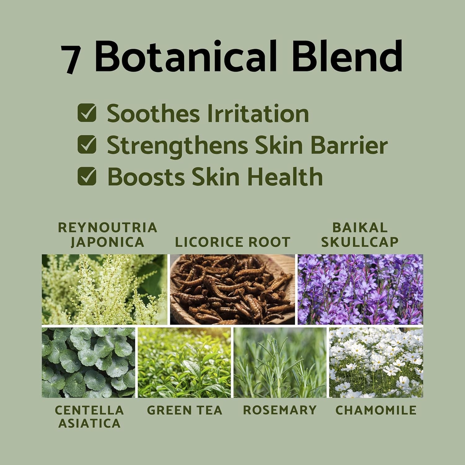 Propolis 70% Vitamins 17% Synergy Serum - Centella Asiatica Calming Soothing Deep Nourishing for Dry Dull Spot Hyperpigmentation Sensitive Acne-Prone Skin No Pore Clogging Korean Skincare