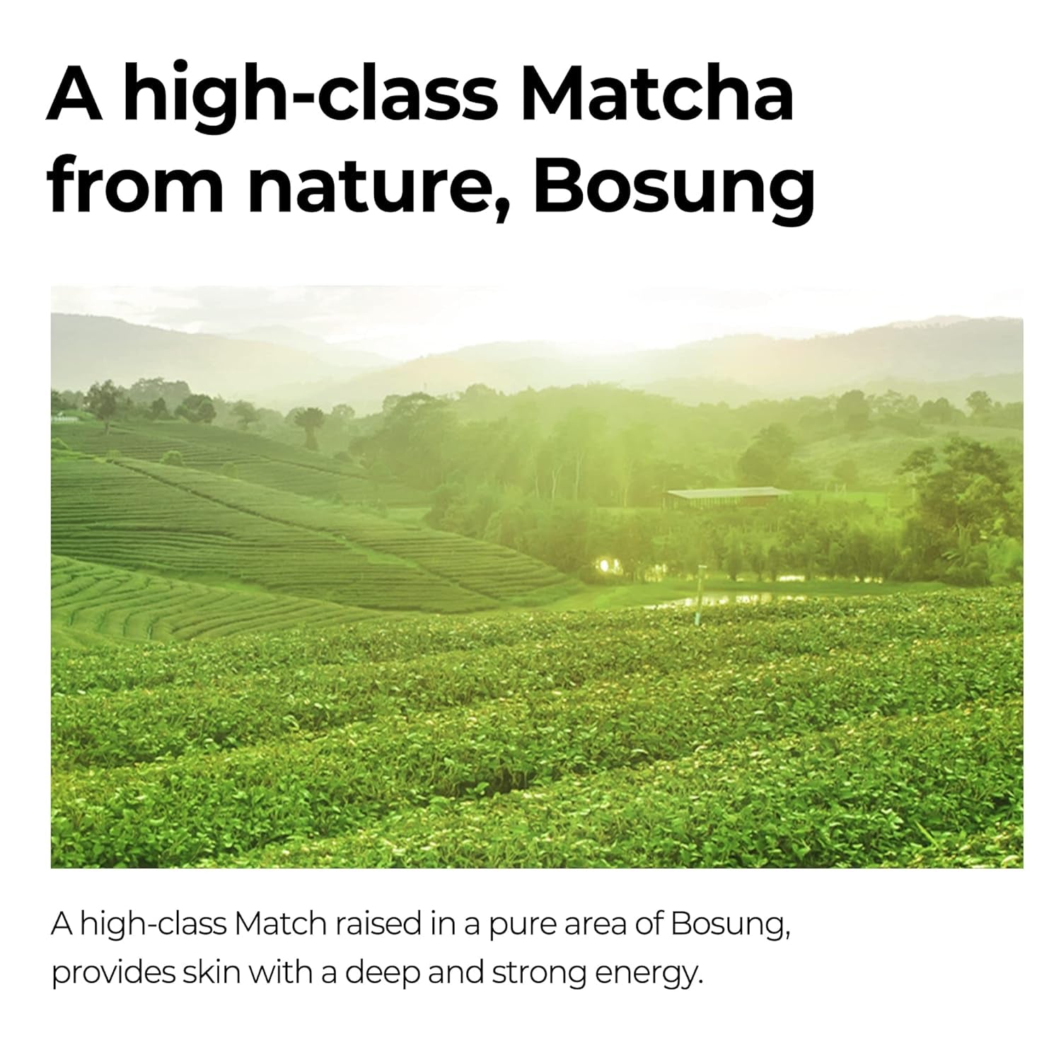 Super Matcha Pore Tightening Serum - 1.69Oz, 50Ml - Made from Match Water for Sensitive Skin - Skin Moisturizing and Purifying Effect - Blackheads, Sebum and Pore Care - Korean Skin Care
