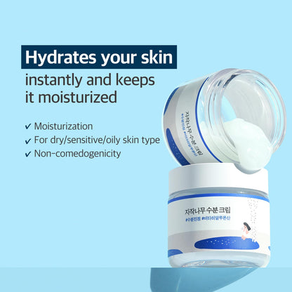 Birch Juice Moisturizing Cream 2.7 Fl Oz, 48-Hour Deep Hydrating Face Moisturizer with Birch Sap & Vita Hyaluronic Acid for Acne-Prone Skin, Reduces Sebum, Oil, Blackheads, Korean Skin Care