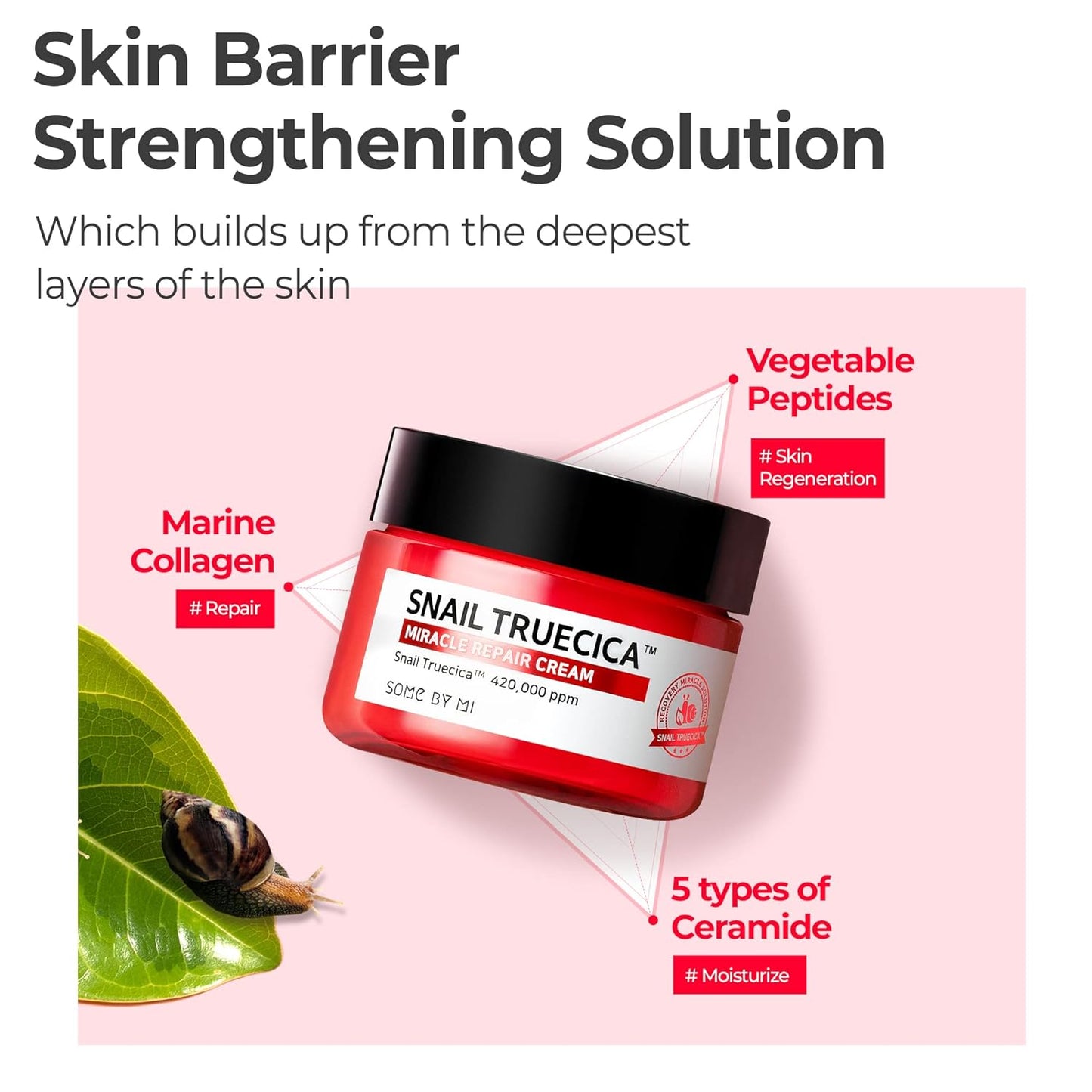 Snail Truecica Miracle Repair Cream - 2.02Oz, 60Ml - Made from Snail Mucin for Sensitive Skin - Daily Repair Face Moisturizer for Acne Marks and Strengthen Skin Barrier - Korean Skin Care