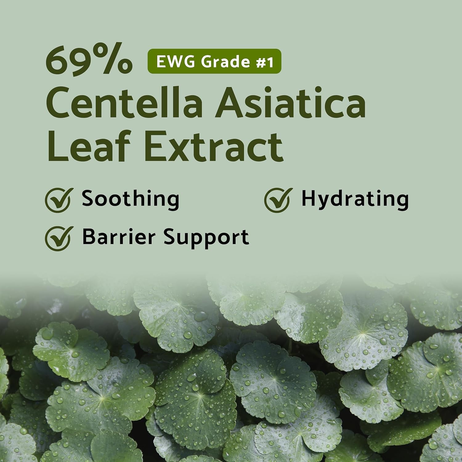 Centella Bubble Foaming Vegan Facial Cleanser - 69% Centella Asiatica Extract, Soothing, Moisturizing, Exfoliating, Removes Pore Blackheads, Whiteheads, 5.07 Fl Oz