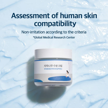 Birch Juice Moisturizing Cream 2.7 Fl Oz, 48-Hour Deep Hydrating Face Moisturizer with Birch Sap & Vita Hyaluronic Acid for Acne-Prone Skin, Reduces Sebum, Oil, Blackheads, Korean Skin Care