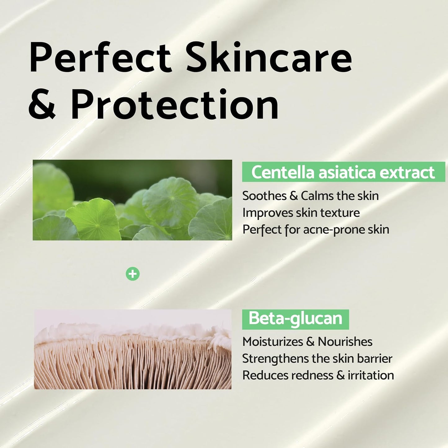 Centella Calming Moisture Daily Sunscreen SPF 50+ PA++++ Matte & No White Cast Centella Asiatica Dry Oily Sensitive Vegan Korean Skincare
